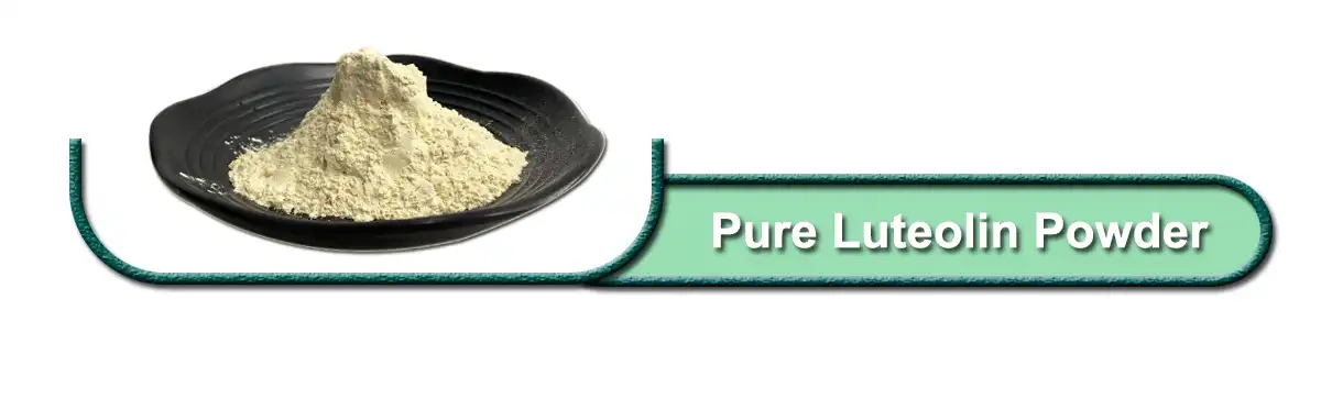 Pure Luteolin.jpg Pure Luteolin.jpg